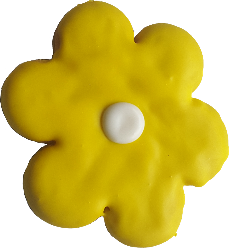 Flower Yellow Daisy